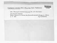 Image Associated With the Occurence